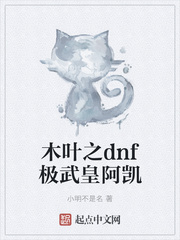 木叶之dnf极武皇阿凯