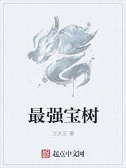 将夜宝树大师