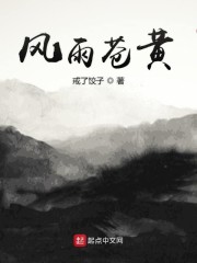 风雨起苍黄百万雄师过大江