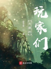 大唐的玩家们精校版