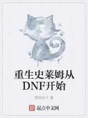 重生史莱姆从DNF开始