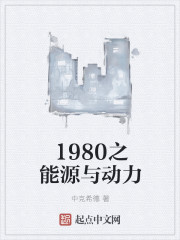 1980之能源与动力