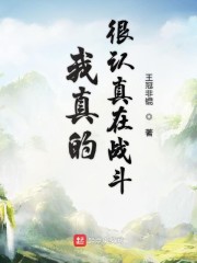 我真的很认真在战斗 小说