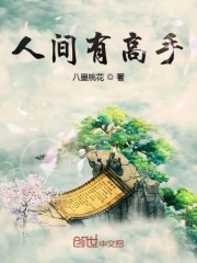 人间高手在民间