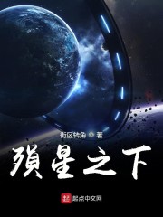 殒星之下小说