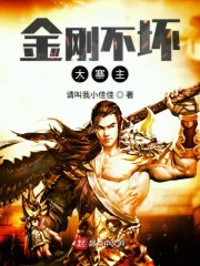 金刚不坏大寨主epub