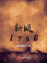 新顺1730优书网