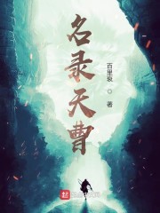 名录天曹 小说