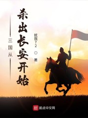 三国从杀出长安开始下载