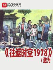 往返时空1978 小说下载