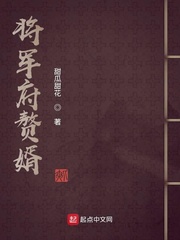 将军府赘婿宗平的小说