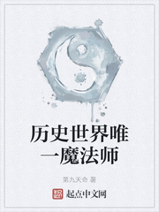 历史世界唯一魔法师起点