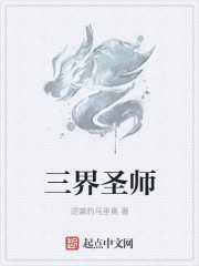 三界圣师txt