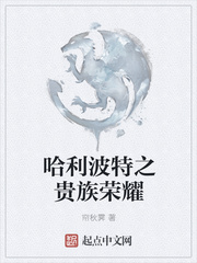 哈利波特中的魔法师贵族家族