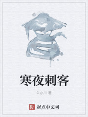 寒夜刺客 epub