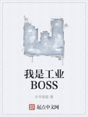 我是工业BOSS