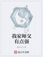 这个师父有点强