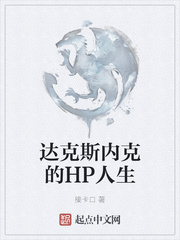 达克斯内克的HP人生金手指是什么