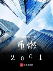 重燃2001顶点