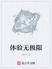 无极限直销公司