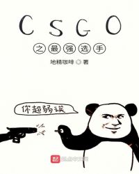 CSGO之最强选手 小说