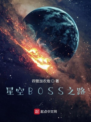 星空BOSS之路txt