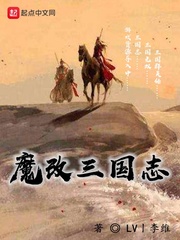 三国志14魔改