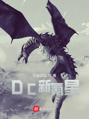 DC新氪星TXT下载