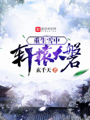 重生雪中轩辕大磐