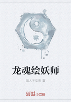 佘龙魂师加点