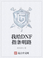 我给dnf指条明路 小说