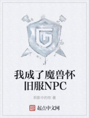 我成了魔兽怀旧服NPC