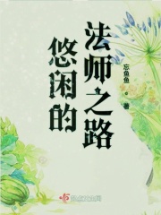 悠闲的法师之路