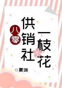 八零供销社一枝花